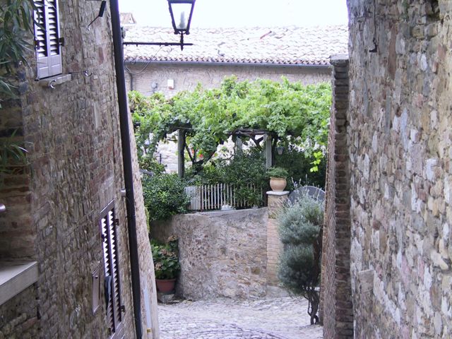Grape arbor