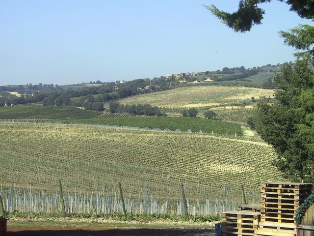 Fall in Umbria