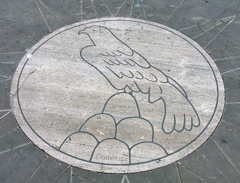 Il Falco
