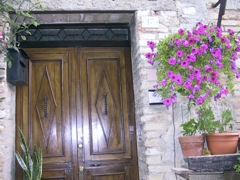 Many doors like this
