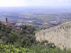 View Toward Lago Trasimeno