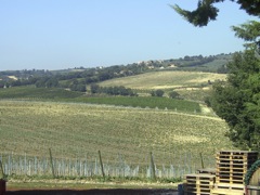 Fall in Umbria