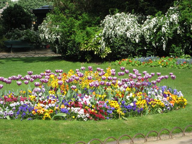 Flowers everywhere