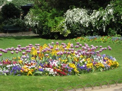 Flowers everywhere