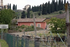 Cengia