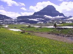 Logan Pass